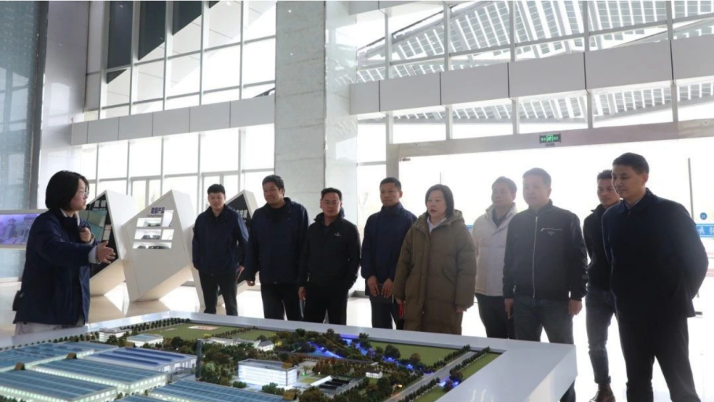 微信圖片_20250331164202 微信圖片_20250331164202